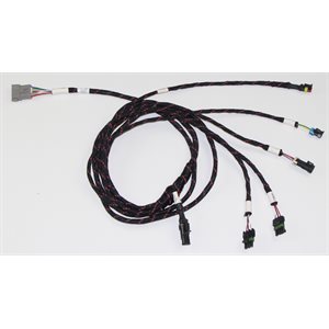 Sentinel 2000 Rate Control Kit - Contains ECU, ECU Harness, Foot Switch ...